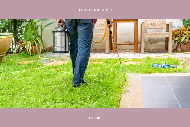 PEST CONTROL Bellville